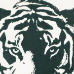 Tiger Brands