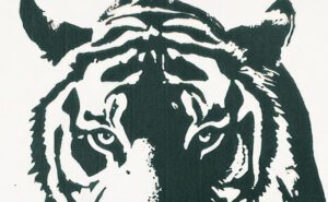 Tiger Brands