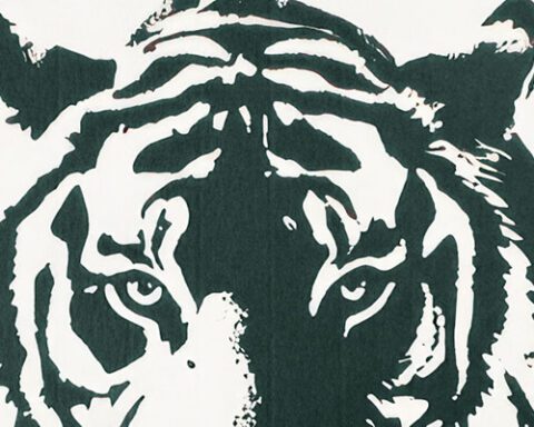 Tiger Brands