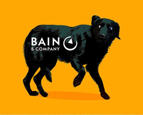 Bain & Co leaves South Africa