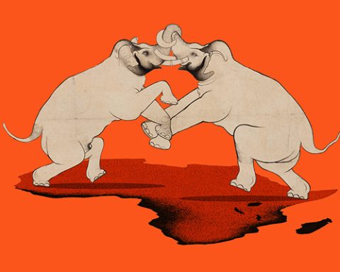 Africa, elephants fighting