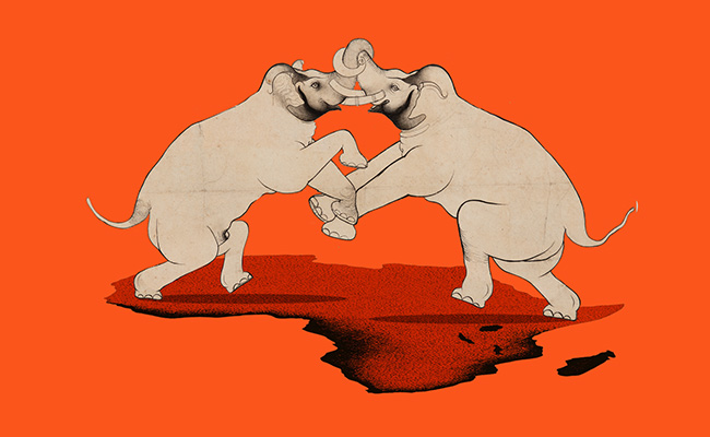 Africa, elephants fighting