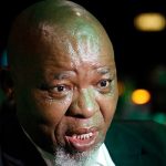 Gwede Mantashe. Gallo Images/Sharon Seretlo