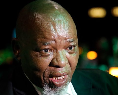 Gwede Mantashe. Gallo Images/Sharon Seretlo