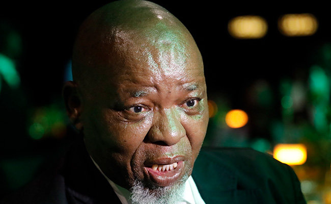 Gwede Mantashe. Gallo Images/Sharon Seretlo