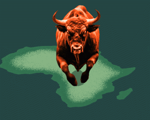Africa bull market