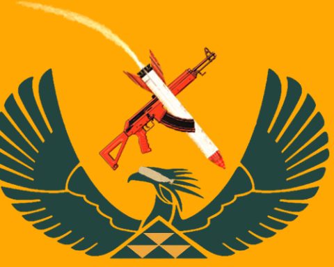 South Africa arms regulator in trouble
