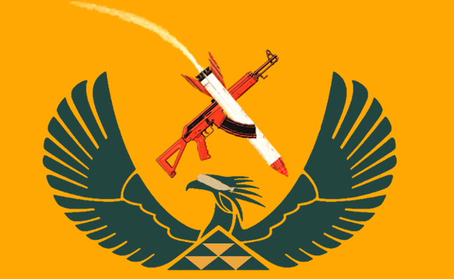 South Africa arms regulator in trouble