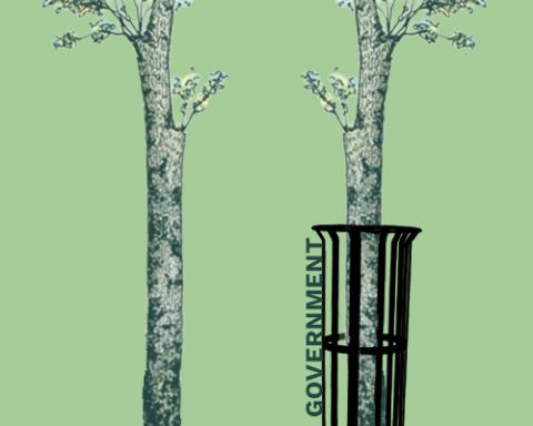 ESG government regulation