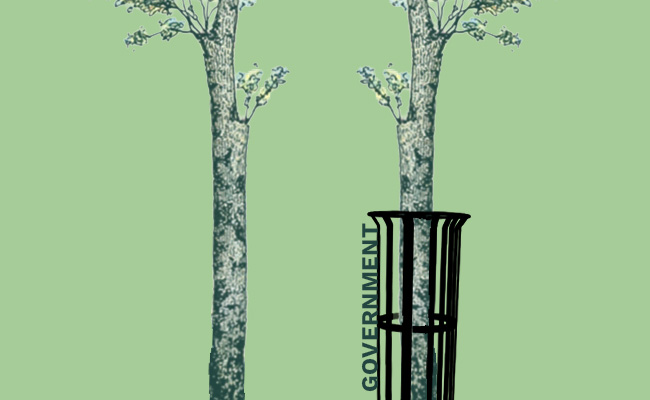 ESG government regulation