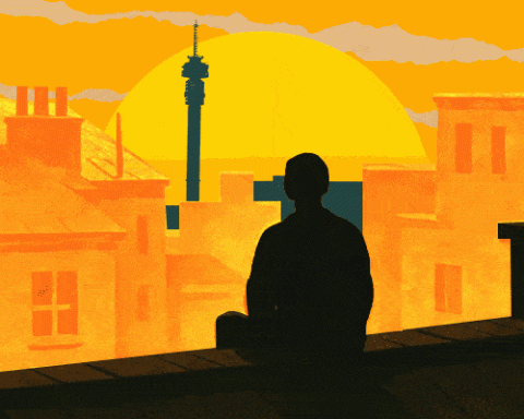 Joburg property market