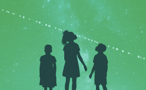 Starlink in South Africa