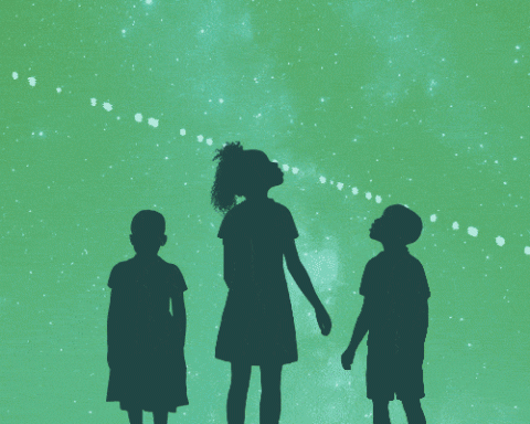 Starlink in South Africa