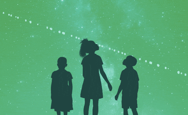 Starlink in South Africa