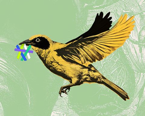 Weaverfintech results