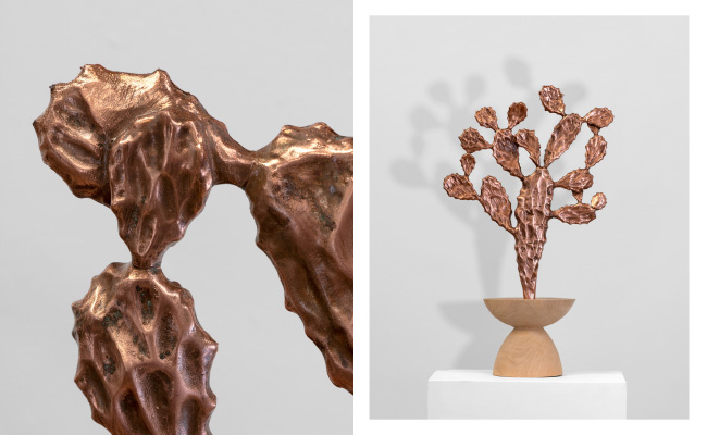 Sanell Aggenbach, Foreign Bodies: Prickly Pear, 2026