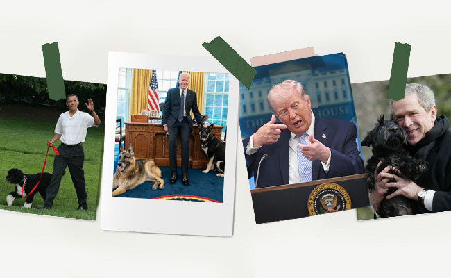 Obama, Biden, Trump, Bush