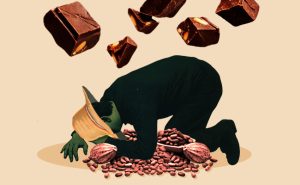 Cocoa farmer distress