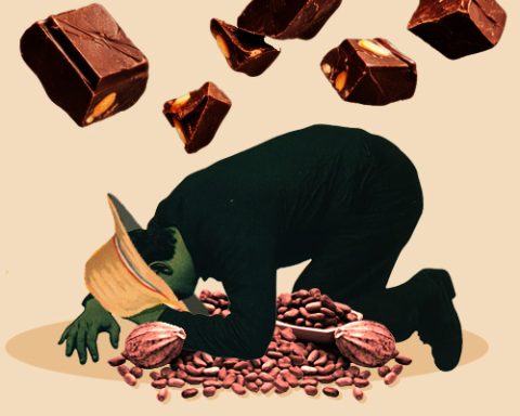 Cocoa farmer distress