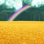 Grain fields and storms