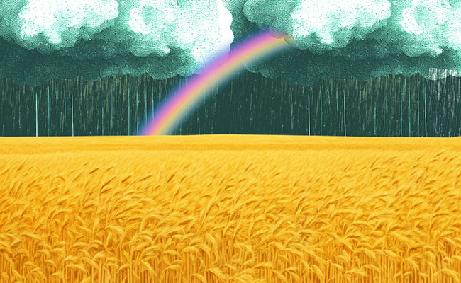 Grain fields and storms