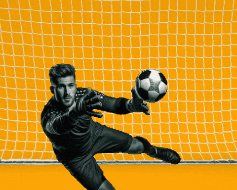Soccer goalie