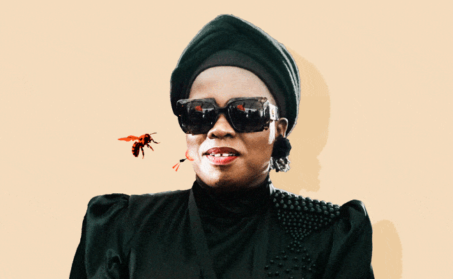 Nomakhosazana Meth bee sting
