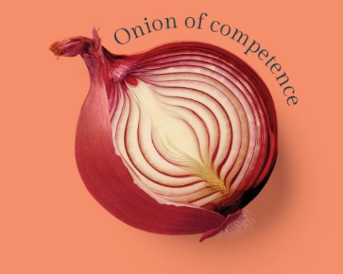 Investing confidence onion