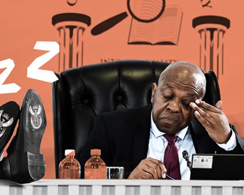 Mbuyiseli Madlanga sleeping government