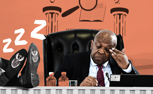 Mbuyiseli Madlanga sleeping government