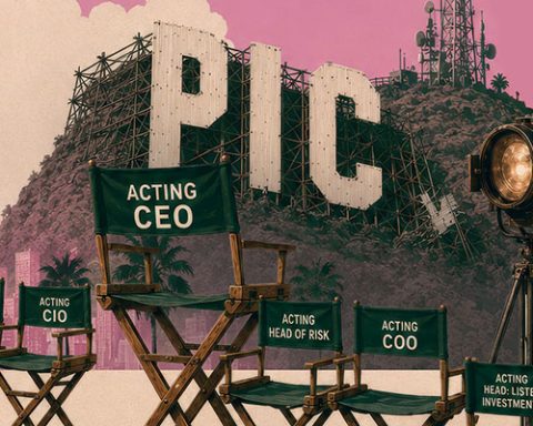 Public investment corporation
