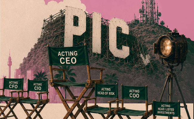 Public investment corporation