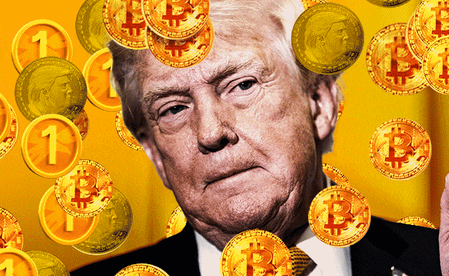 Trump crypto
